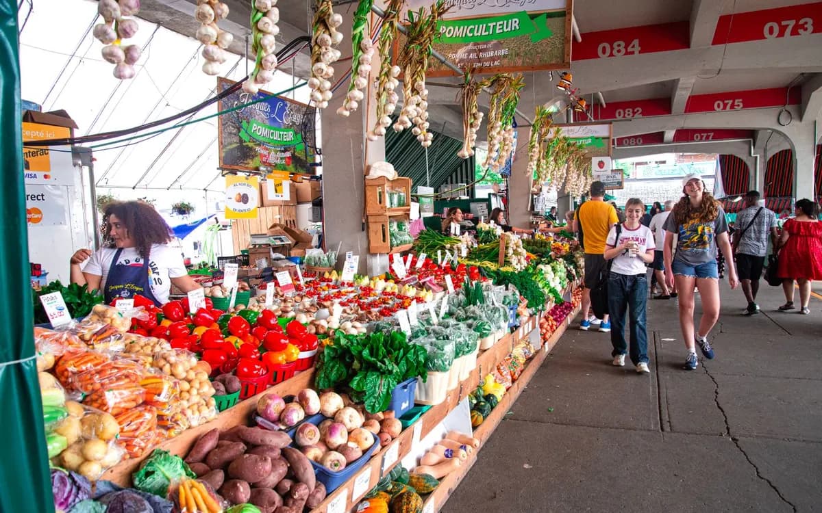 Fresh vegetables displayed at a busy outdoor market.
